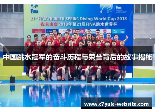 中国跳水冠军的奋斗历程与荣誉背后的故事揭秘